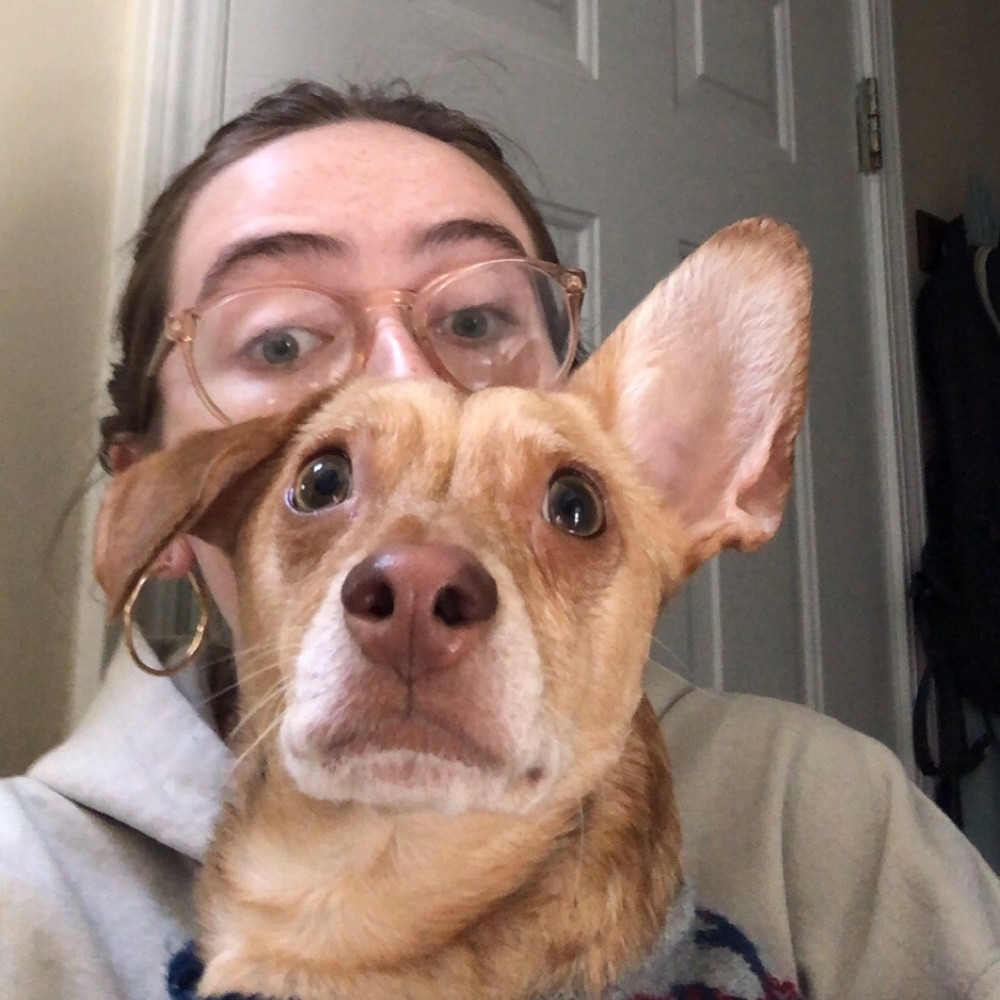 Meet your Posher, Abigail